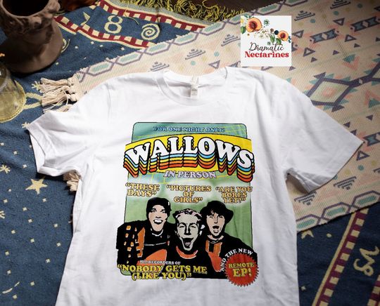 Discover Wallows Tour 2022 T-shirt, Wallows shirt