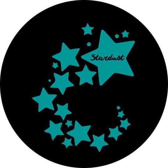 Discover Stardust Spare Tire Covers