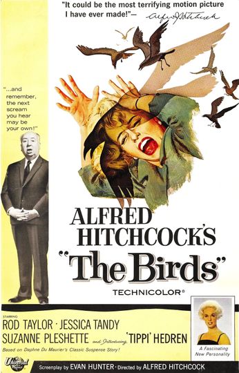 Discover The Birds Alfred Hitchcock vintage Movie Poster