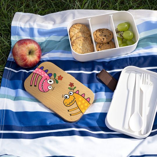 Discover Dinosaur and Flower Lunch Box Food Containers  Lunch Box Food
