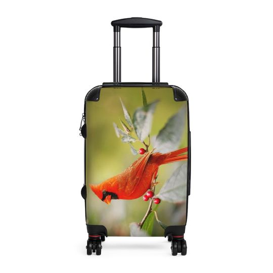Discover Cardinal Carryon Luggage Cabin Suitcase, Hardcase Luggage