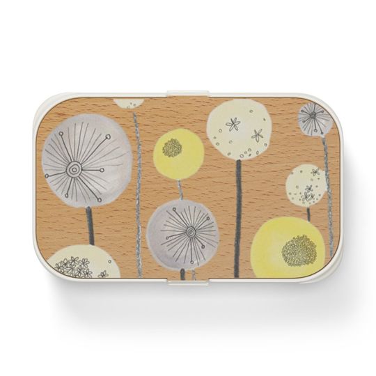Discover Bento Lunch Box