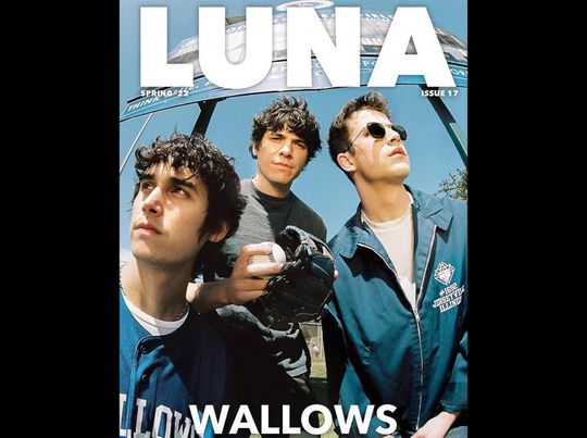 Discover Wallows band poster
