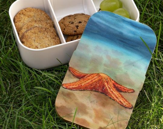 Discover Starfish Bento, Bento Box, Lunch Box, Snack Box
