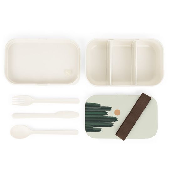 Discover Cat and Cactus Bento Lunch Box