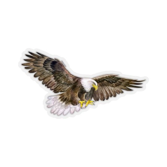 Discover American Eagle Stickers, Bald Eagle Bird Laptop Vinyl Cute Waterbottle Tumbler Car