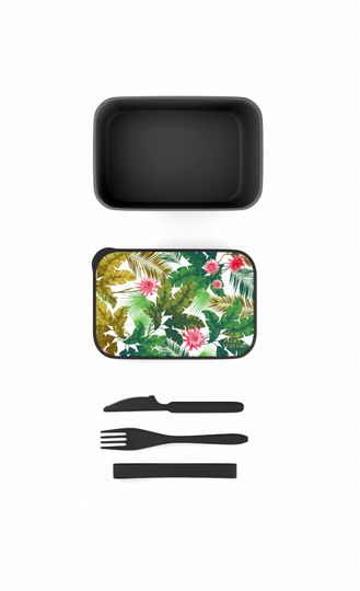 Discover MOLOKAI BENTO BOX