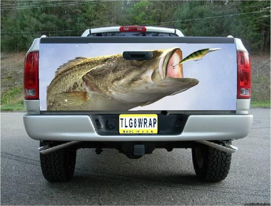 Discover Bass Fishing Truck Beg Decal