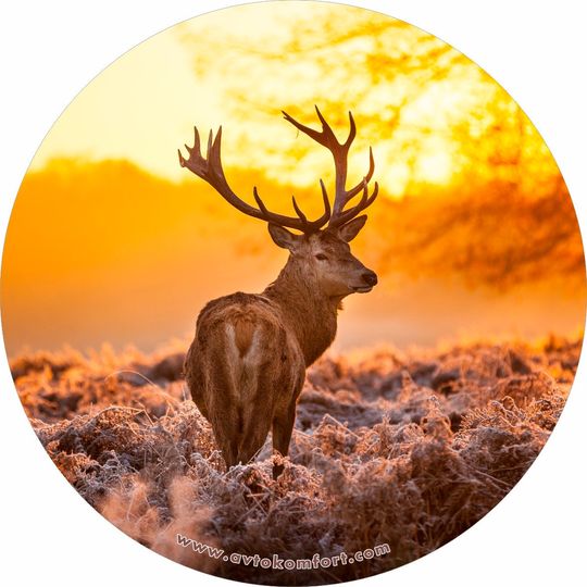 Discover Deer Made With Your Size Soft Spare Wheel Tire Cover