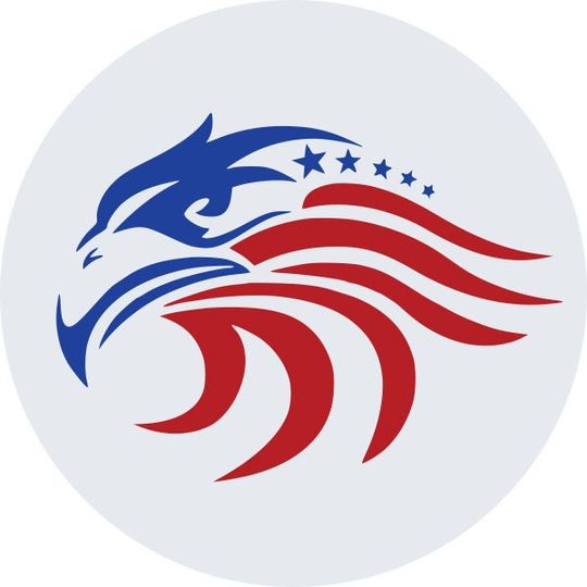 Discover Eagle Head flag Spare Tire Covers
