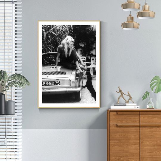 Discover black and white artwork Poster