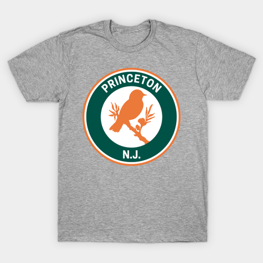 Discover Vintage Princeton New Jersey - Princeton New Jersey - T-Shirt