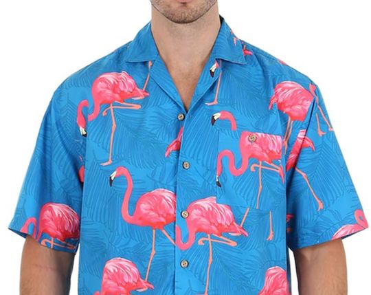 Discover Blue Button Down Hawaiian Shirt