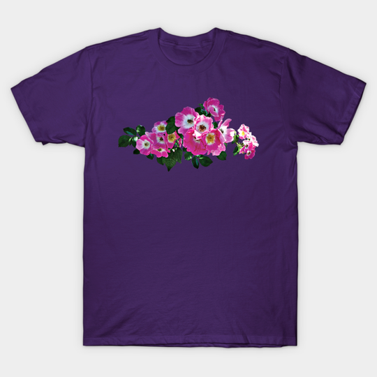 Discover Pink Rambler Rose - Rose - T-Shirt