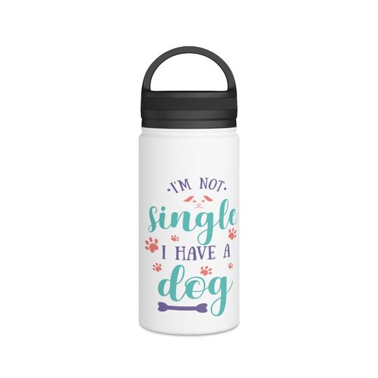 Discover Stainless Steel Water Bottle, Handle Lid