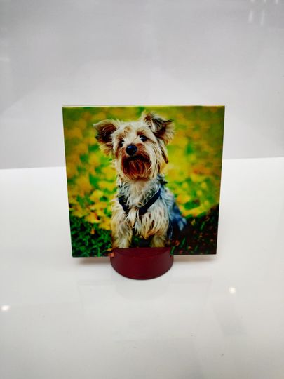 Discover Photo gift, Customized Photo on Ceramic Tile, Father's Day, Anniversary, Print on ceramic tile