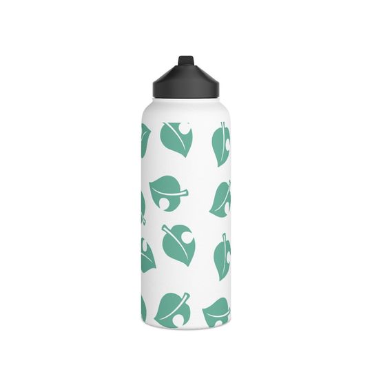 Discover Nook Stainless Steel Water Bottle, Standard Lid