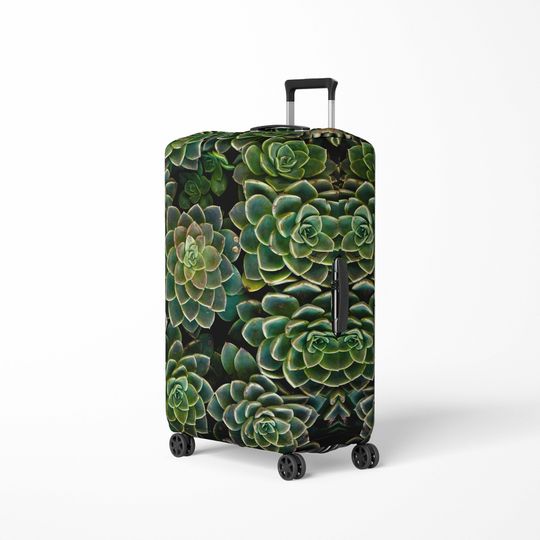 Discover Suitcase | Baggage Travelbag