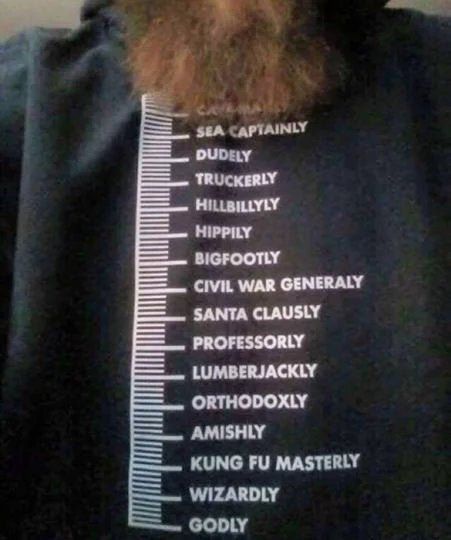 Discover Beard measurement chart T-Shirt