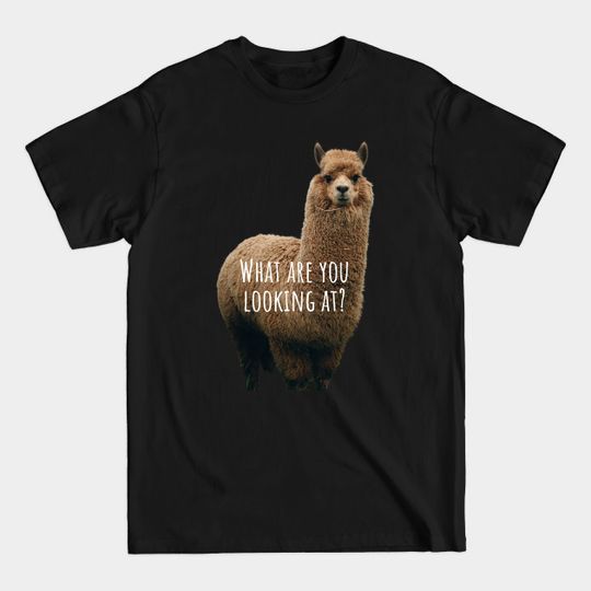 Discover Llama funny - Funny Llama - T-Shirt