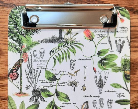 Discover Botany Clipboard, Decorative, Pretty 6x9 Memo Clipboard, Gift for Botanist, Teacher Gifts Classroom Decor, Papers Organizer
