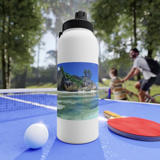Discover Stainless Steel Water Bottle, Sports Lid