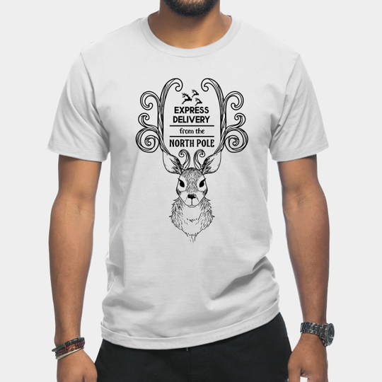 Discover Express delivery from the North Pole - North Pole - T-Shirt