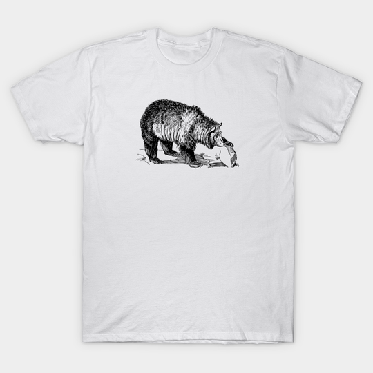 Discover Grizzly Bear - Grizzly - T-Shirt