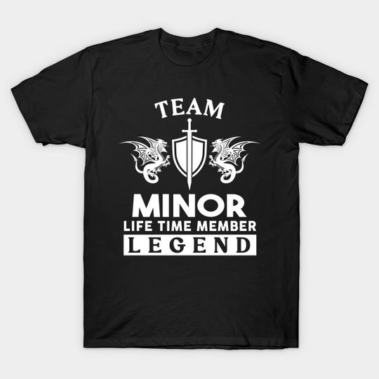 Discover Division Director - Professional Gift T-Shirt