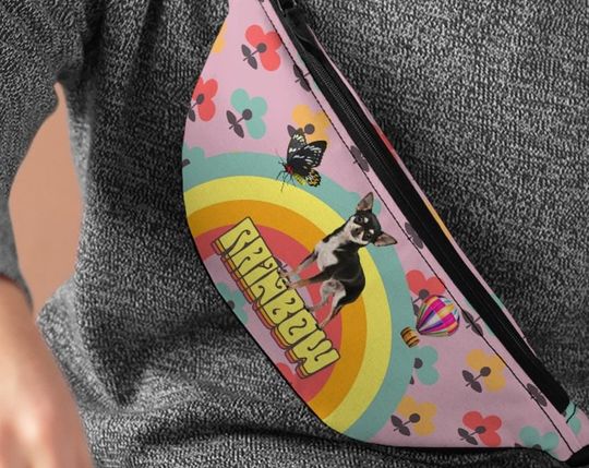 Discover Rainbow Pup Fanny Pack