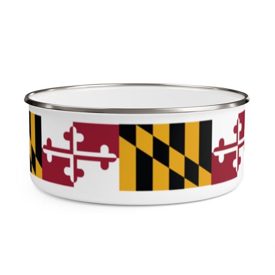 Discover Enamel Bowl