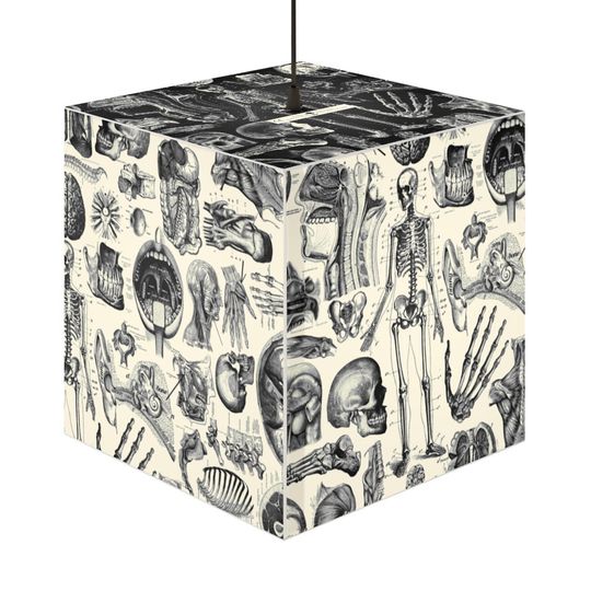 Discover Human Anatomy Black and White Cube Lamp, Gothic Style, Home Decor, Dark Fashion