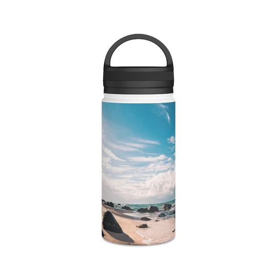Discover Stainless Steel Water Bottle, Handle Lid