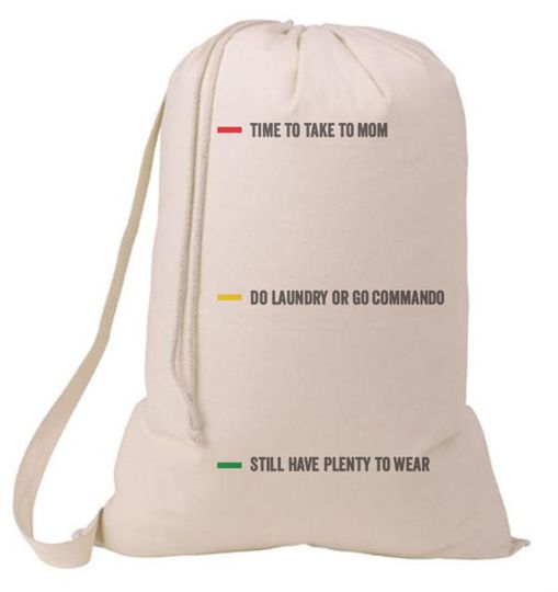 Discover Grad Gift Status Laundry Bag