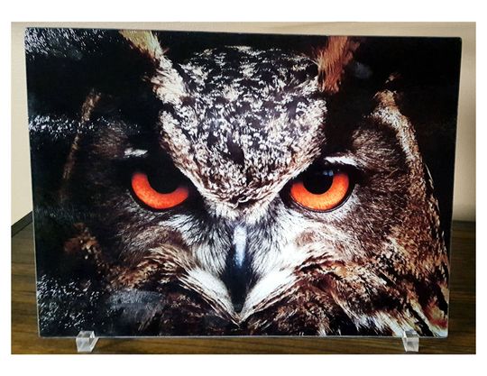 Discover Owl Decoration Glass Cutting Board Beach Theme Glass Cutting Board