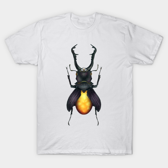 Discover Amber Beetle - Beetle - T-Shirt