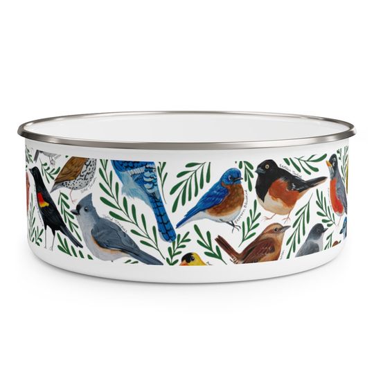 Discover Enamel Bowl