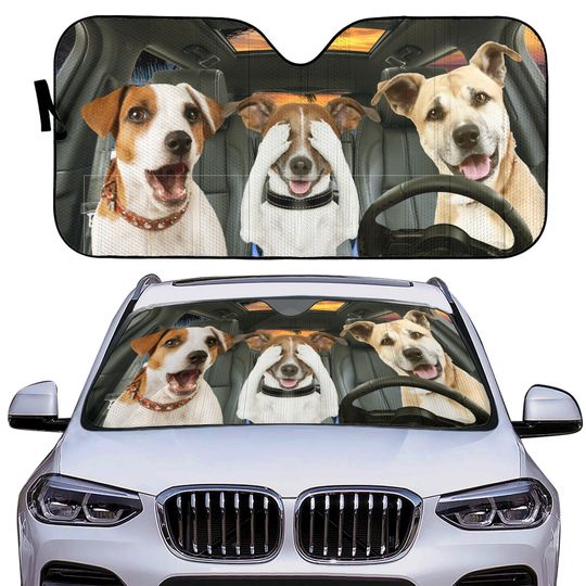 Discover Car Windshield Sun Shade Sun Shield