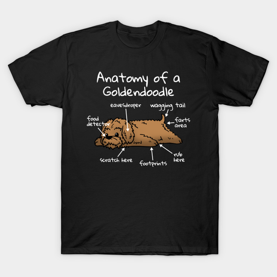 Discover Anatomy Of A Goldendoodle - Goldendoodle - T-Shirt