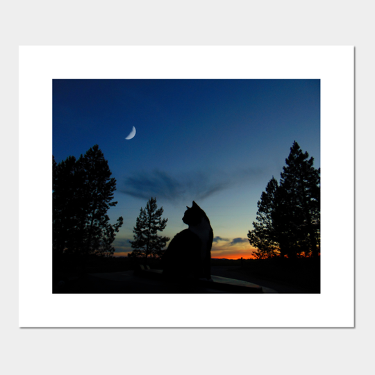 Discover Silhouette - Warrior Cats - Posters and Art Prints
