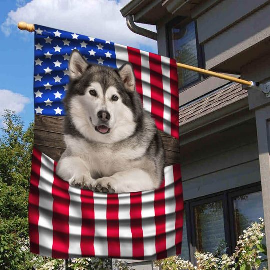 Discover 4th Of July House Flag