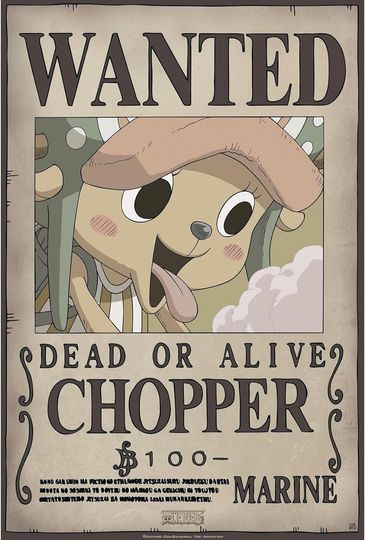 Discover One Piece Wanted Poster