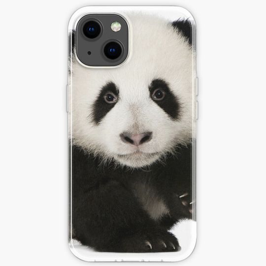 Discover Panda iPhone Case