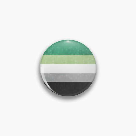 Discover Shimmer Aromantic Pride Flag Pin