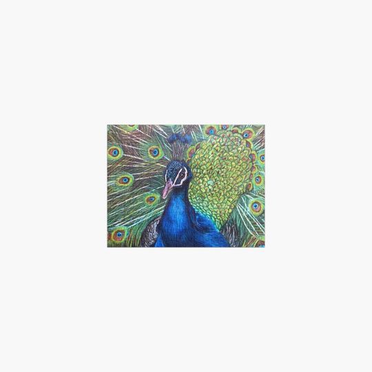Discover Peacock Jigsaw Puzzle