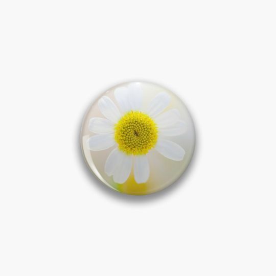 Discover Daisy Pin, Daisy Pin