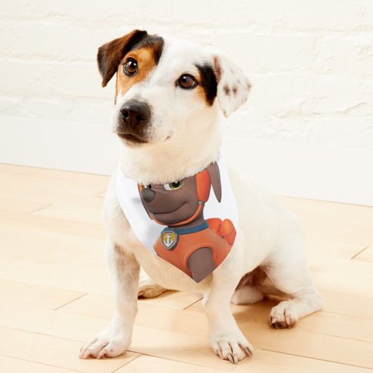 Discover paw patrol Pet Bandana
