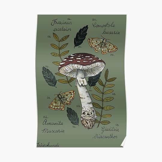 Discover Amanita Muscaria with moths and leaves botanical illustration Premium Matte Vertical Poster