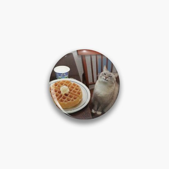 Discover Cat Pin