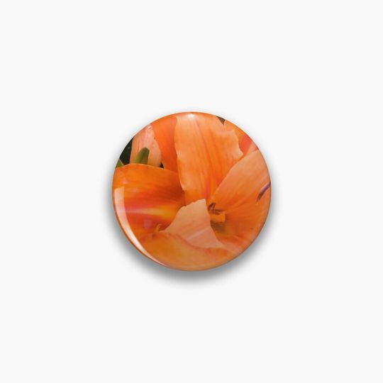 Discover orange aesthetic flowers Pin